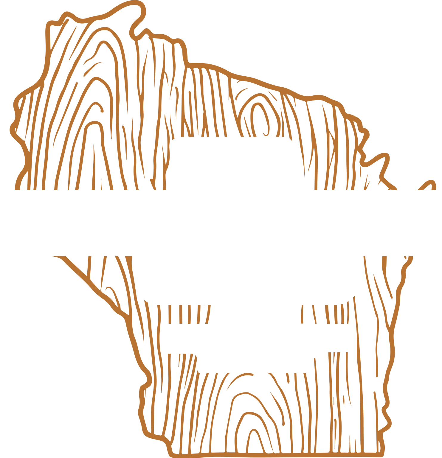 Explore wisconsin dells the wisconsin hotel